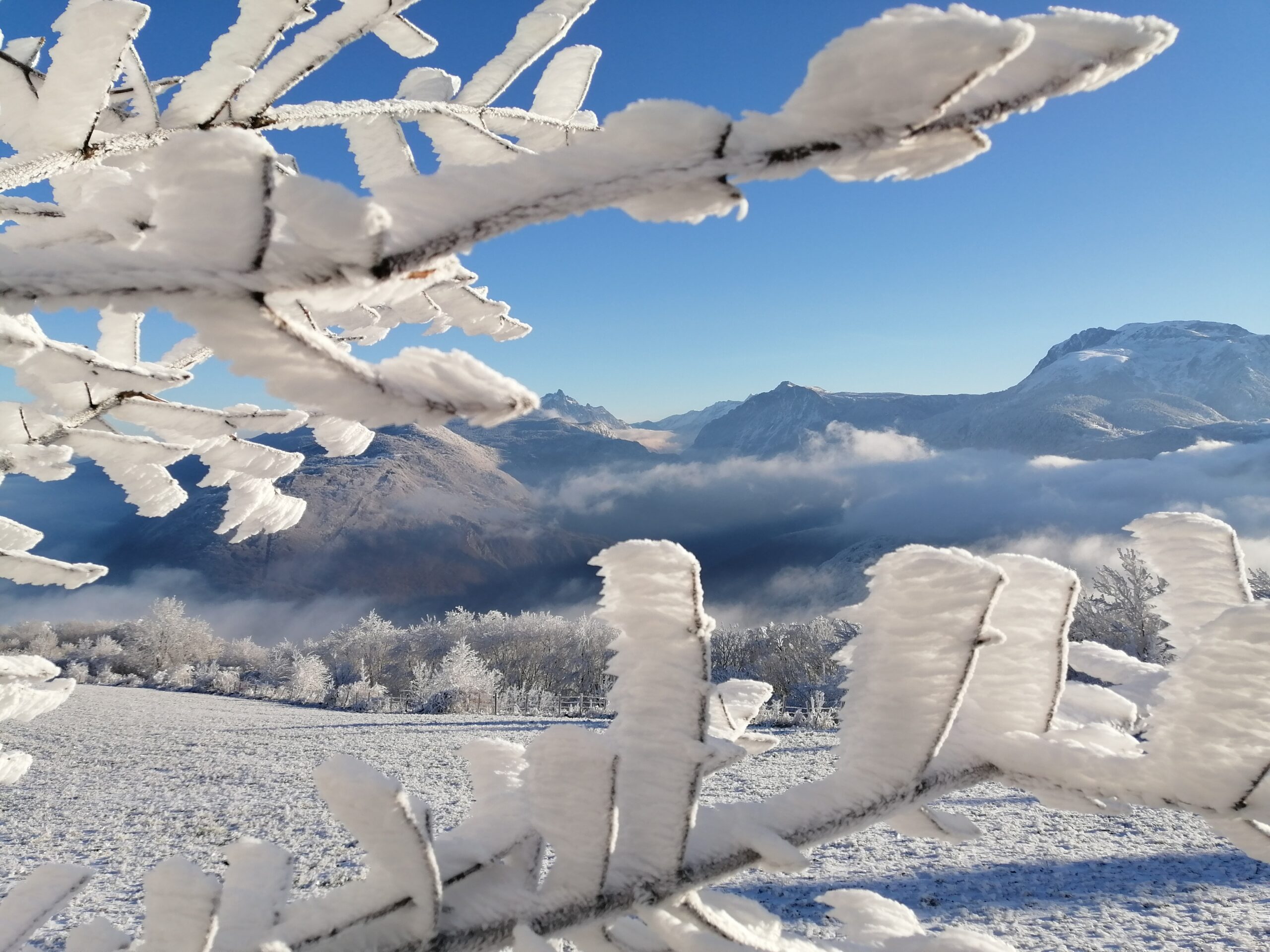 Le givre et le vent ;-)- location Alpe d'huez Villard-reculas