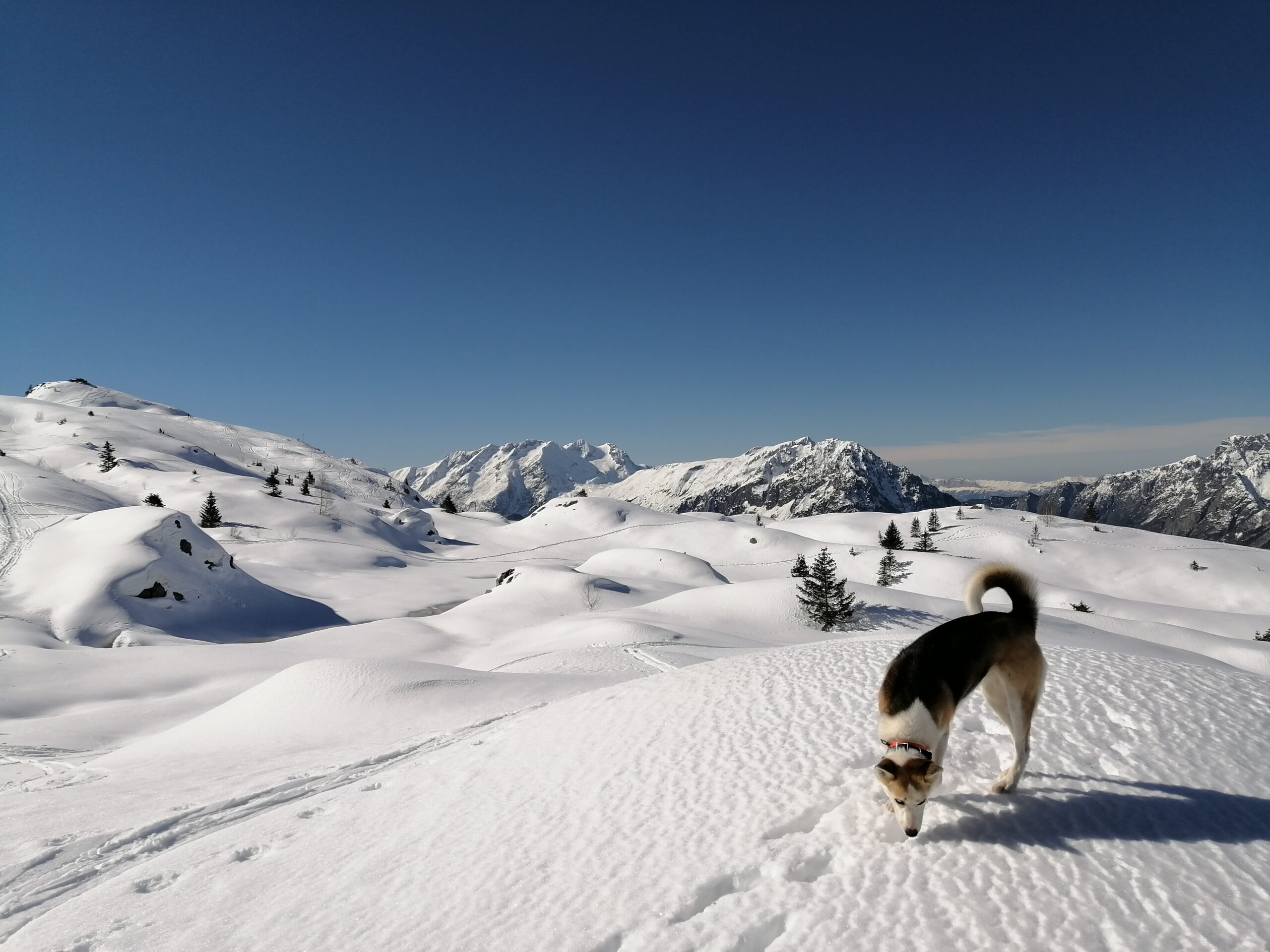 Randonnée raquettes sur le plateau des lacs à l'Alpe d'huez- location Alpe d'huez Villard-reculas